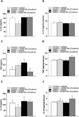 Evaluation of the beneficial effects of a GABA-based product containing Melissa officinalis on post-inflammatory irritable bowel syndrome: a preclinical study